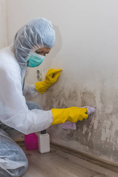 Best Dehumidification Services  in Mcnair, VA