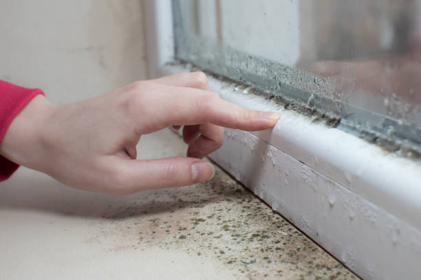 Mold Documentation for Insurance Claims in Mcnair, VA