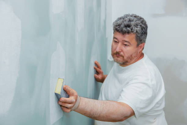 Best Mold Removal for HVAC Installations  in Mcnair, VA